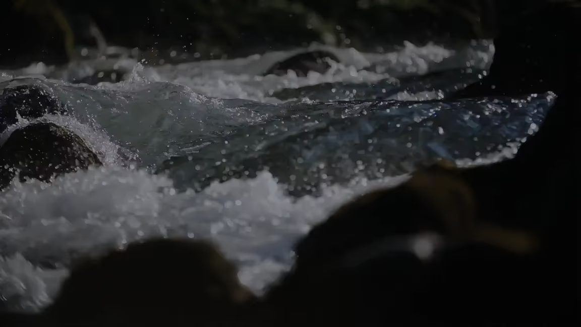 Videoyu yükle: asda