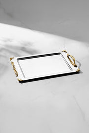 Sare Altın Saten Çelik Kahve Tepsi