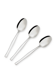 Elegant Simple 12 Piece Dessert Spoon Set